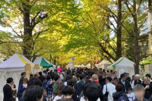 第75回駒場祭 キャンパスの銀杏並木